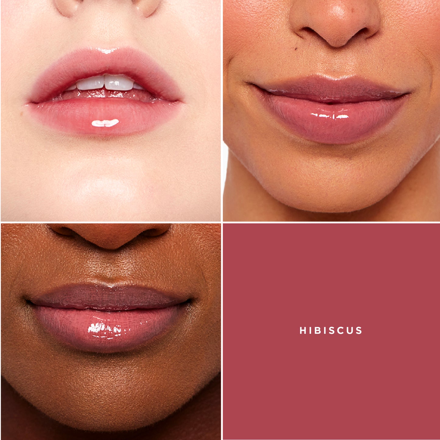 GXVE Hibiscus - Clean, High-Performance Lip Plumper
