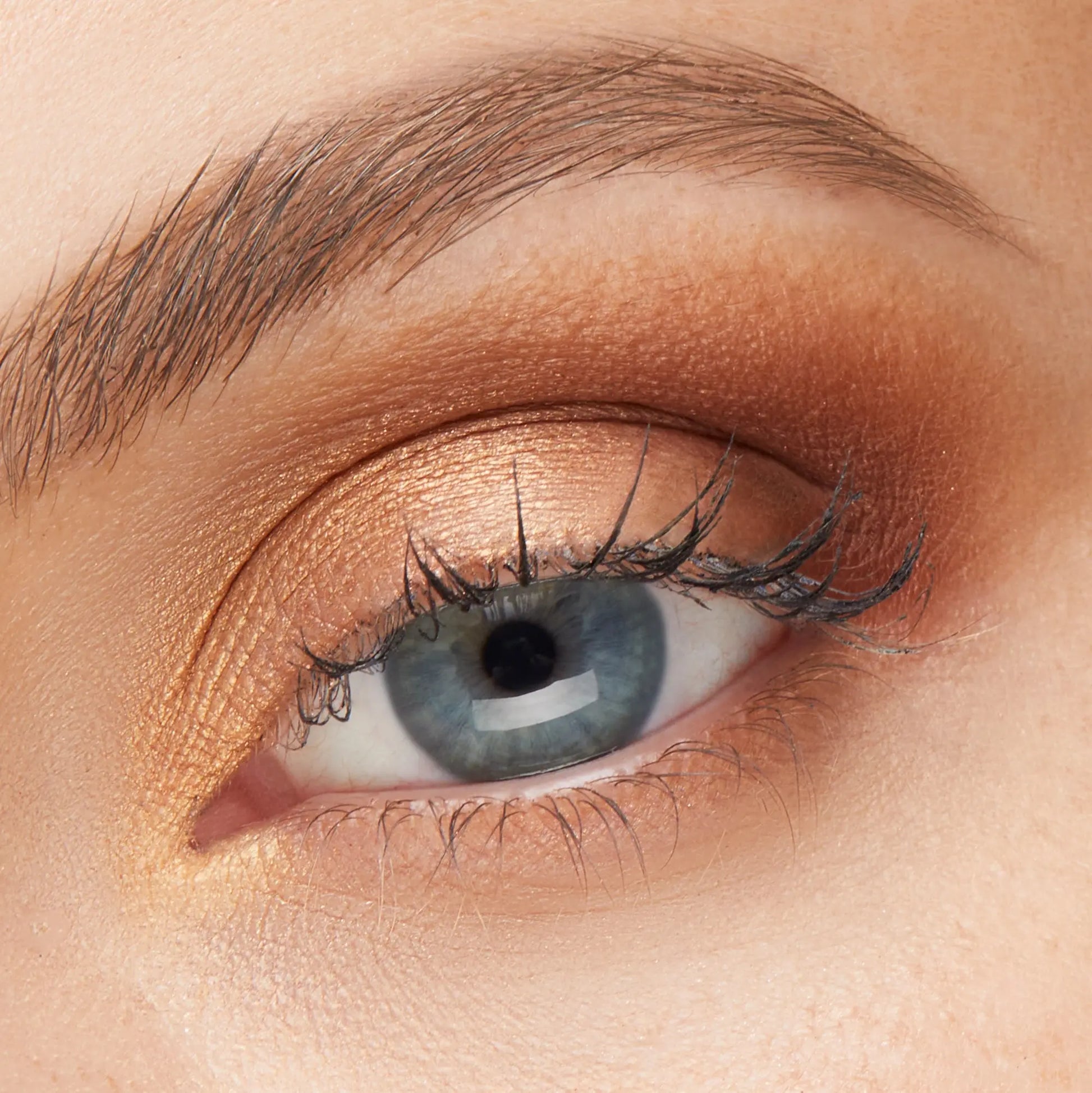 GXVE EYE SEE IN COLOR Rich Girl - Multidimensional Eye Shadow Quad