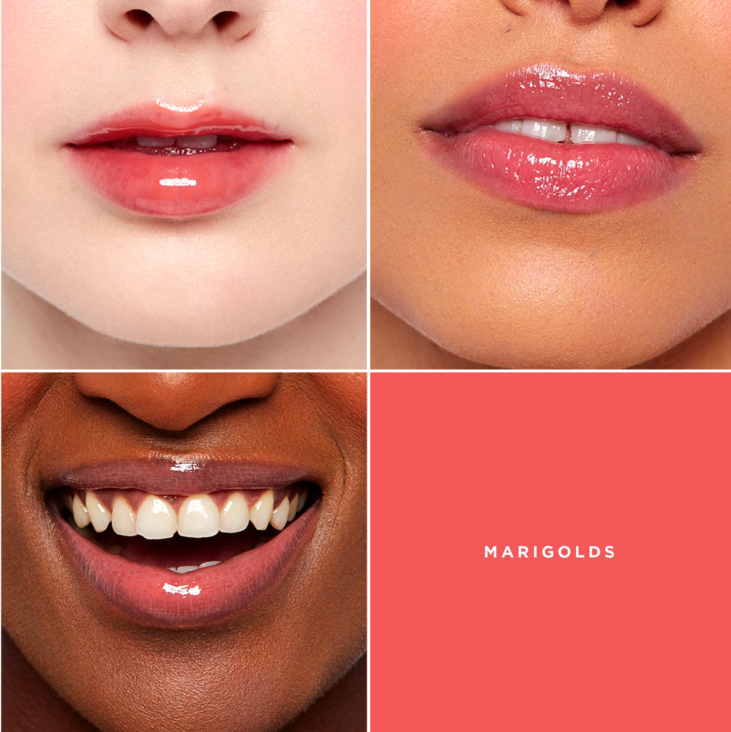GXVE Marigolds - Clean, High-Performance Lip Plumper